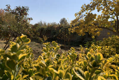 فروش زمین به مساحت ۱۵۰۹ متر