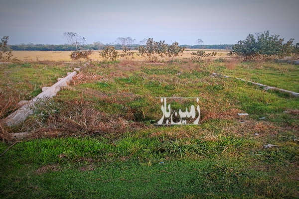 زمین ویلایی در روستای حسین آباد لیتکوه ۱۴۰ متر-4