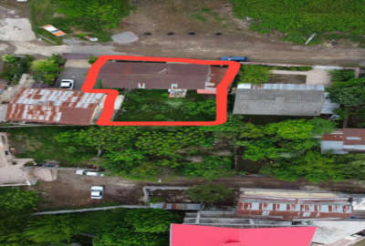 زمین ویلایی جنگلی سوستان لاهیجان ۳۵۴ متر