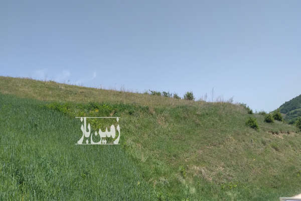 فروش زمین منطقه هزارجریب نکا ۹۲۰ متر-4