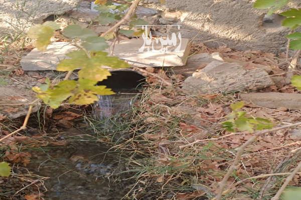 باغ در شاهدشهر شهریار سندار ۸۰۰ متر-3