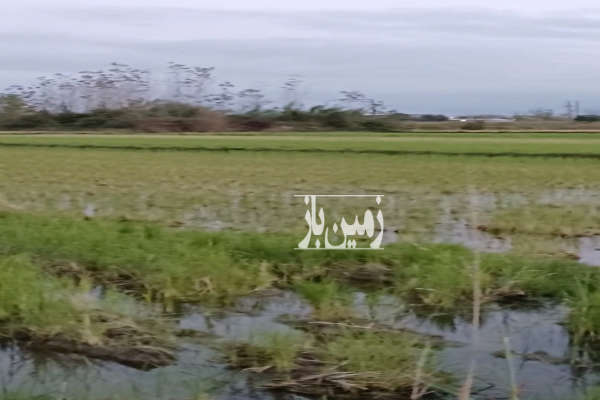 زمین کشاورزی جاده آمل به چمستان روستای درکاپی ۲۸۰۰ متر-1