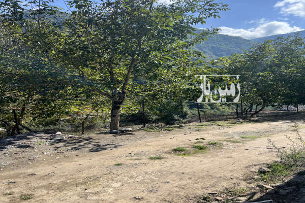 زمین ۲۰۰ متر در تنکابن منطقه دوهزار-1