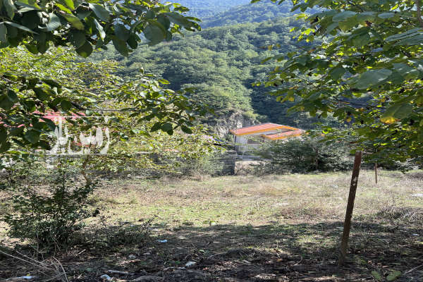 زمین ۲۰۰ متر در تنکابن منطقه دوهزار-2