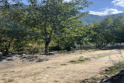 زمین ۲۰۰ متر در تنکابن منطقه دوهزار