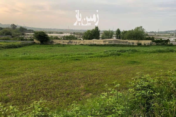 زمین ۲۳۰۰ متر دو نبش با چاه عمیق آب در قادیکلا-3