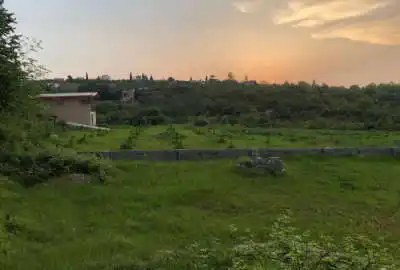 زمین ۲۳۰۰ متر دو نبش با چاه عمیق آب در قادیکلا