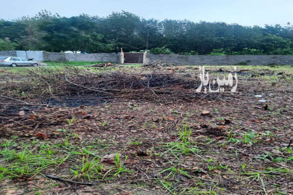 زمین باغی لاهیجان خیابان ایرج کشاورز ۶۵۰۰۰ متر-1