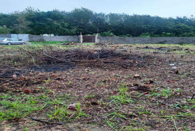 زمین باغی لاهیجان خیابان ایرج کشاورز ۶۵۰۰۰ متر