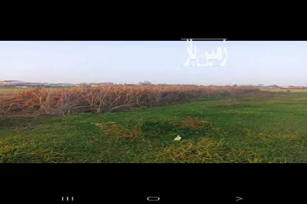 زمین ۱۲۷ متر واقع در پیرکلاچای رشت - تصویر 2