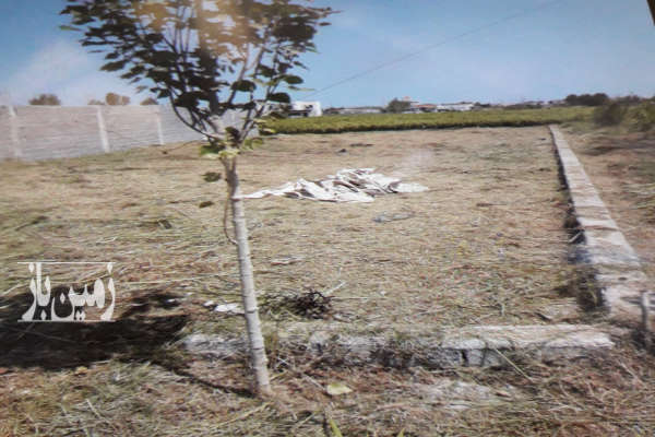 فروش زمین تفکیک شده در روستای حاجی کلا ۲۳۰ متر-1