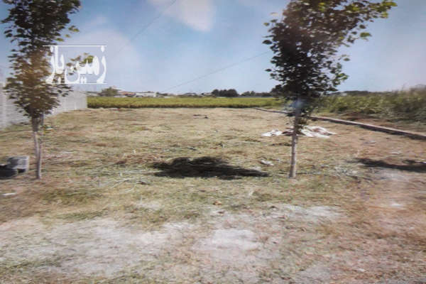 فروش زمین تفکیک شده در روستای حاجی کلا ۲۳۰ متر-2