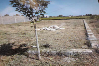 فروش زمین تفکیک شده در روستای حاجی کلا ۲۳۰ متر