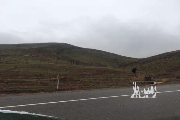 زمين طالقان بر جاده اصلي ۳۰۰۰ متر-2