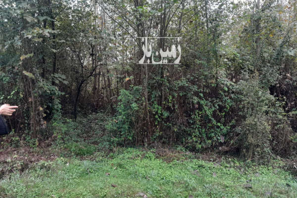 فروش زمین مناسب برای ویلا سازی خمام کلاچای ۴۰۰ متر-1