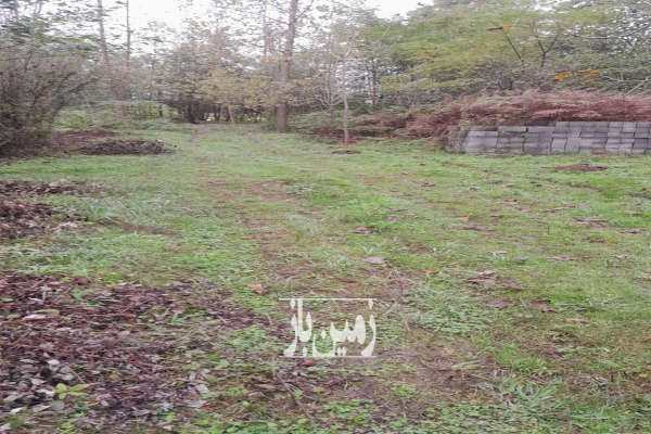 فروش زمین مناسب برای ویلا سازی خمام کلاچای ۴۰۰ متر-2