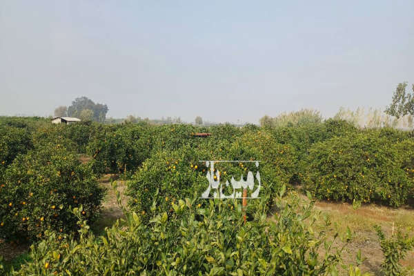 فروش خونه باغ ۵۰۰۰ متری ساری-1