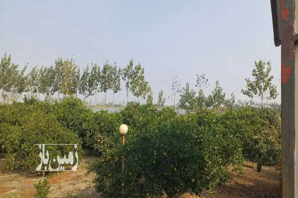 فروش خونه باغ ۵۰۰۰ متری ساری - تصویر 2