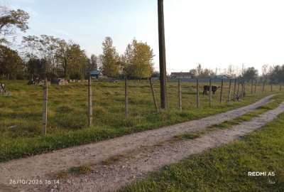 زمین ۵۰۰ متری کامل مسکونی حاشيه اتوبان سیاهکل