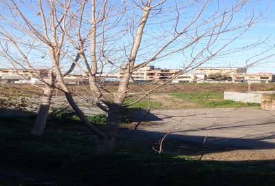 زمین مسکونی ۲۵۲ متر آمل خیابان شیخ فضل الله نوری