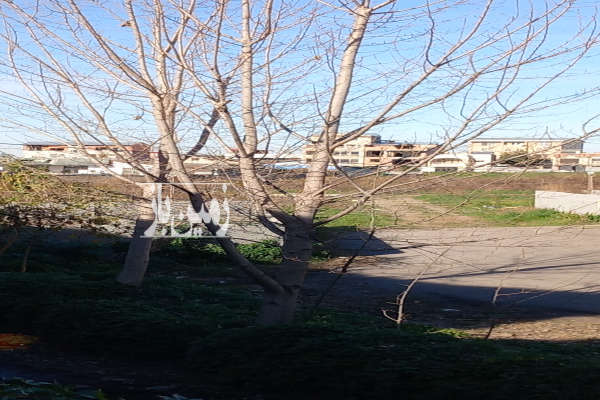 فروش زمین مسکونی خیابان شیخ فضل الله نوری ۲۱۵ متر-3