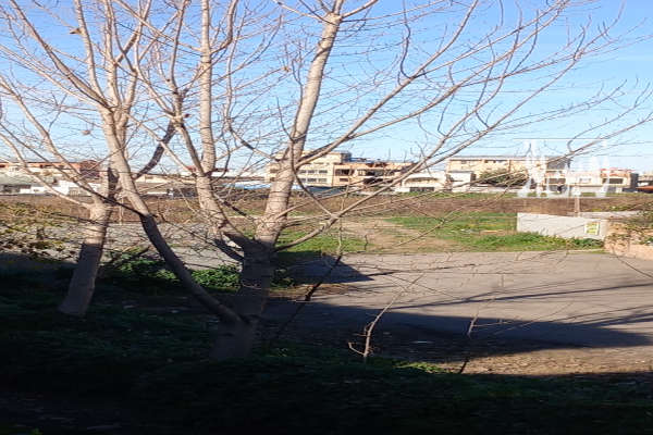 فروش زمین مسکونی خیابان شیخ فضل الله نوری ۲۱۵ متر-4