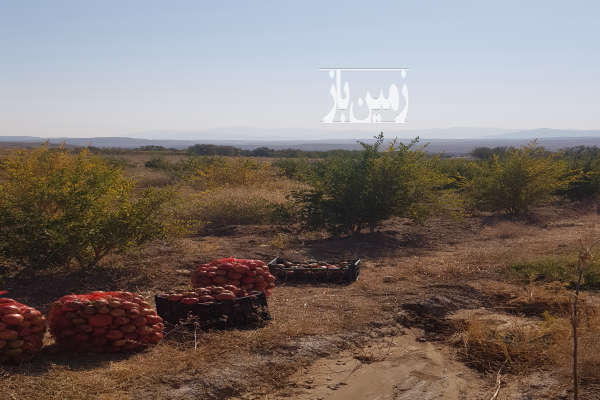 زمین کشاورزی جاده غرق اباد روستای زمان اباد ۱۴۰۰۰ متر-2