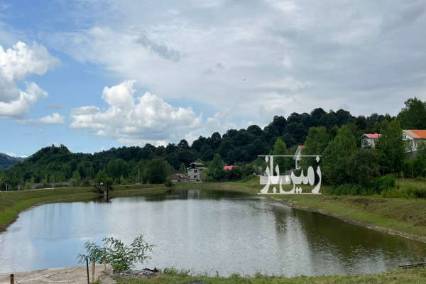 زمین باغی لاهیجان سوخته کوه ۱۱۰۰ متر-1