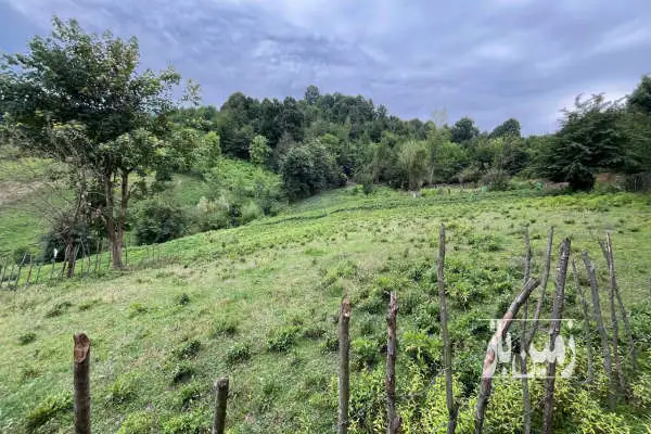 زمین باغی لاهیجان سوخته کوه ۱۱۰۰ متر - تصویر 2