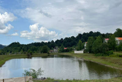 زمین باغی لاهیجان سوخته کوه ۱۱۰۰ متر