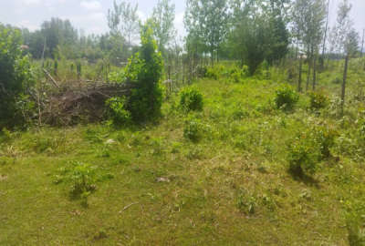 فروش زمین در روستای وردوم ۴۲۶ متر