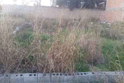 زمین واقع در خیابان فرهنگ ساری ۲۷۳ متر