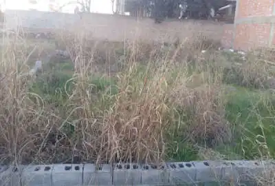زمین واقع در خیابان فرهنگ ساری ۲۷۳ متر