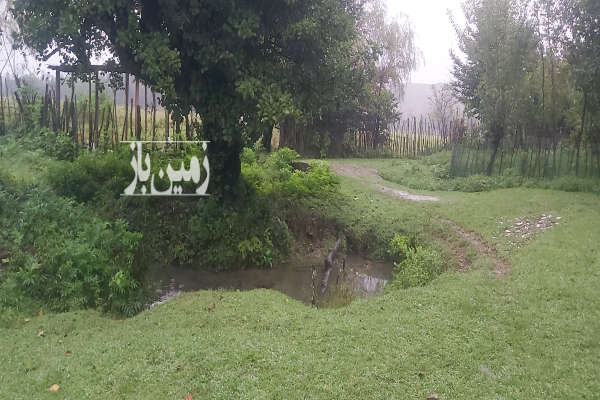 زمین جنگلی کنار چشمه شفت روستای والیسرا ۵۰۰ متر-2