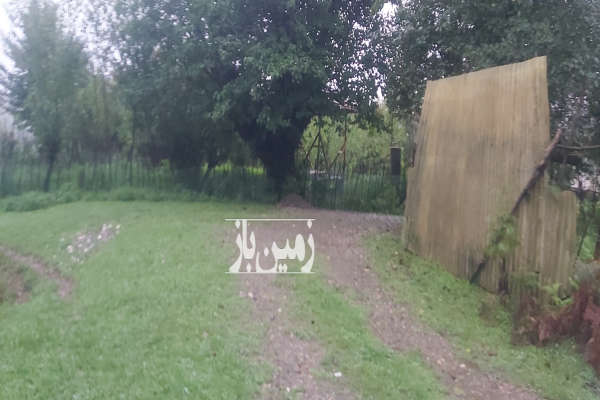 زمین جنگلی کنار چشمه شفت روستای والیسرا ۵۰۰ متر-3