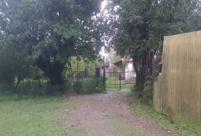 زمین جنگلی کنار چشمه شفت روستای والیسرا ۵۰۰ متر