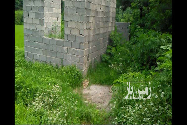 زمین ۱۵۰متر باغی امام زاده هاشم روستای براگور-1