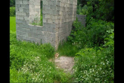 زمین ۱۵۰متر باغی امام زاده هاشم روستای براگور
