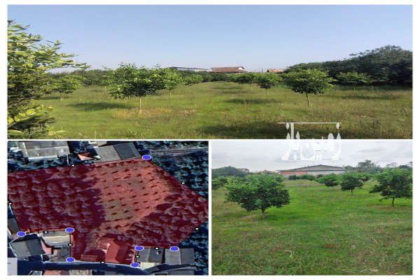 فروش زمین مسکونی به متراژ ۳۵۰۰ متر در شمال-1