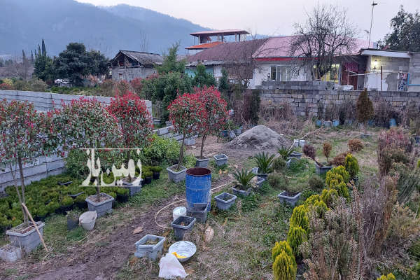 زمین ۳۰۹ متر مسکونی چابکسر روستای قاسم آباد سفلی-2