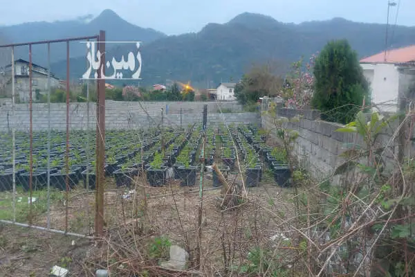 زمین ۳۰۹ متر مسکونی چابکسر روستای قاسم آباد سفلی - تصویر 2