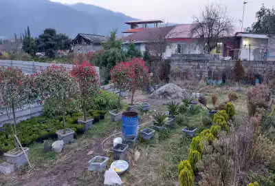 زمین ۳۰۹ متر مسکونی چابکسر روستای قاسم آباد سفلی