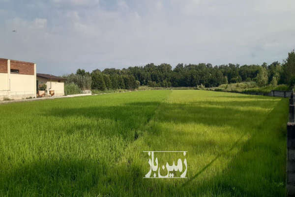 زمین درب دوم پارک جنگلی نور ۴۸۵۳ متر-1