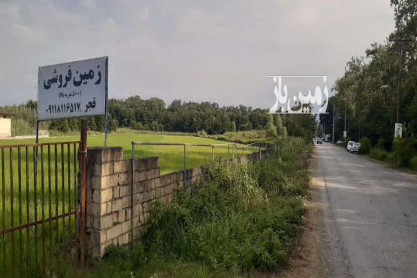 زمین درب دوم پارک جنگلی نور ۴۸۵۳ متر-2