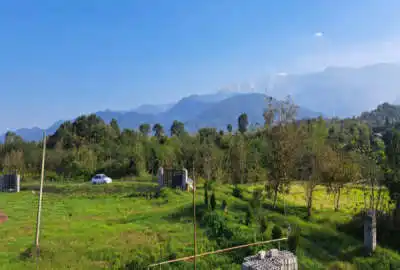 زمین با کاربری مسکونی و زراعی یک هکتار در رودسر