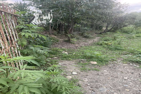 زمین در شفت روستای توریستی گنجار ۱۹۵۳ متر-3