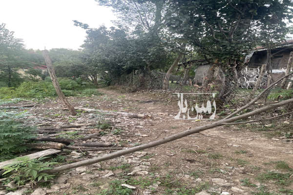 زمین در شفت روستای توریستی گنجار ۱۹۵۳ متر-4