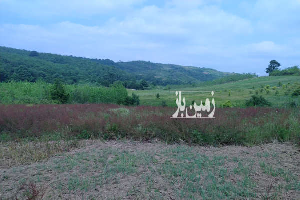 زمین زراعی با مجوز ۲۵متر بنا ۳۰۰۰ متر-2