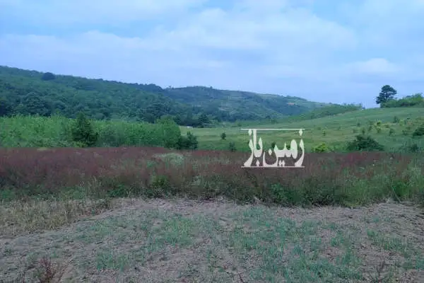زمین زراعی با مجوز ۲۵متر بنا ۳۰۰۰ متر - تصویر 2