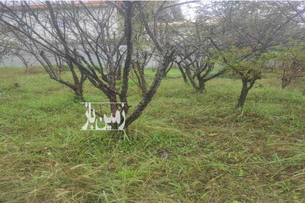 فروش زمین درموقعیت عالی رشت سراوان ۲۶۰ متر-2